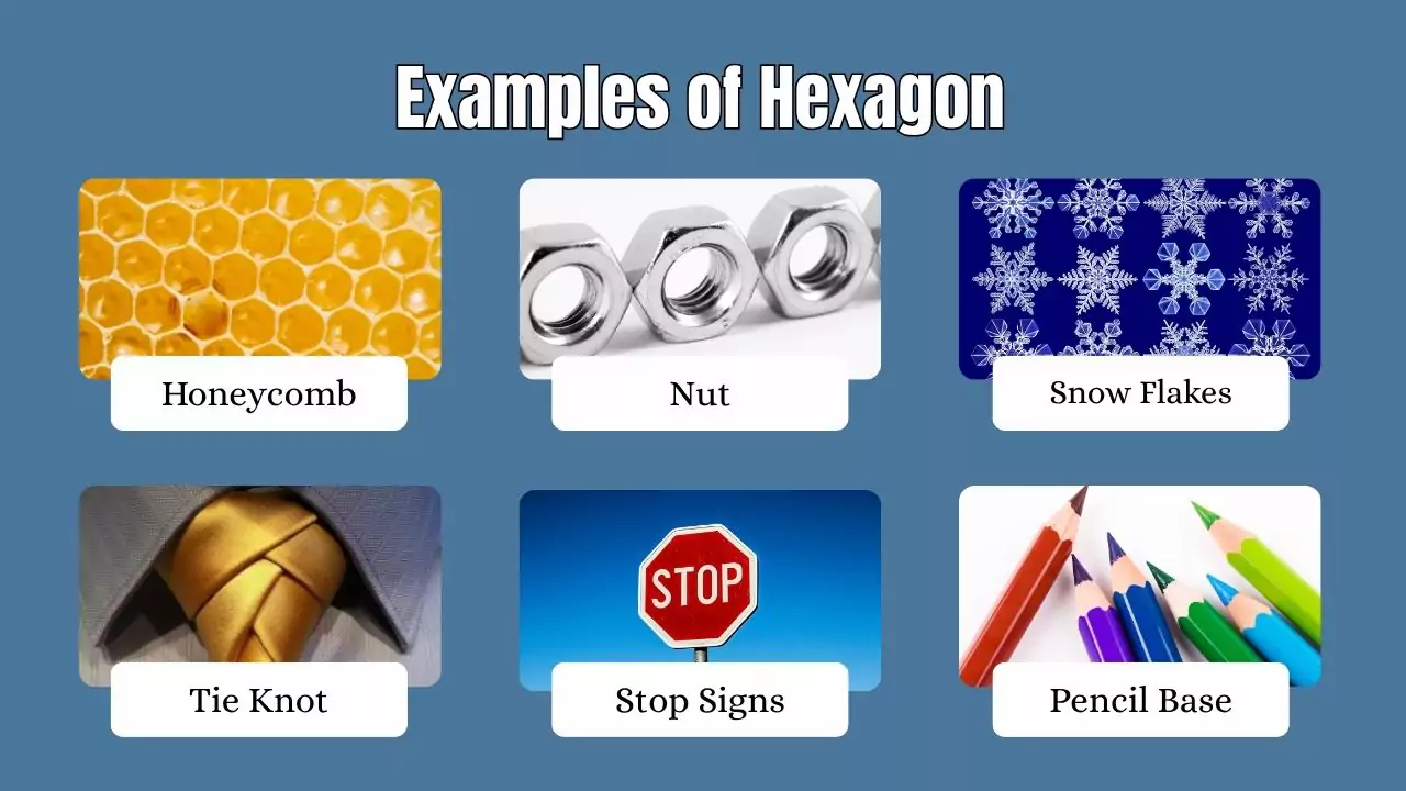 12 Hexagon Examples In Real Life Right Examples