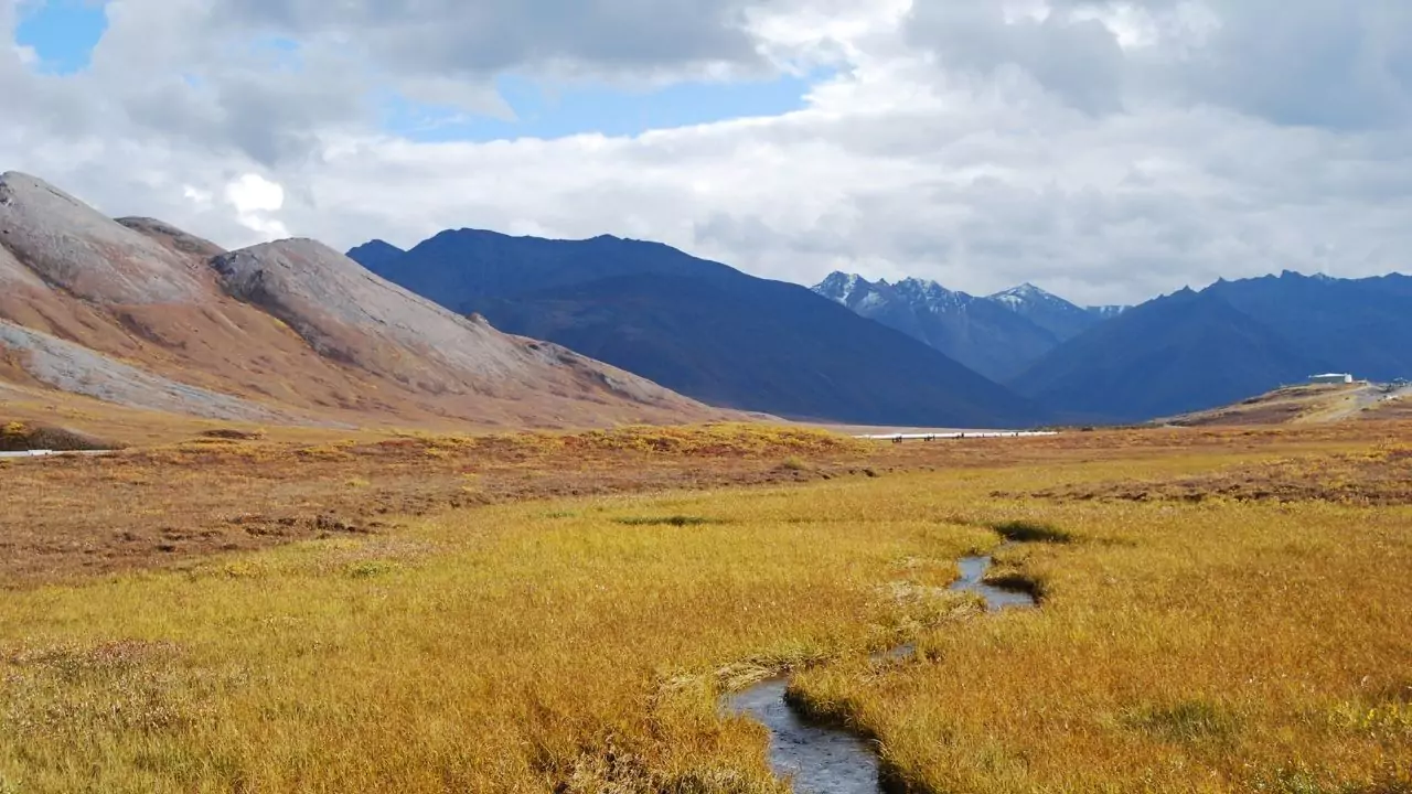 Tundra Biome