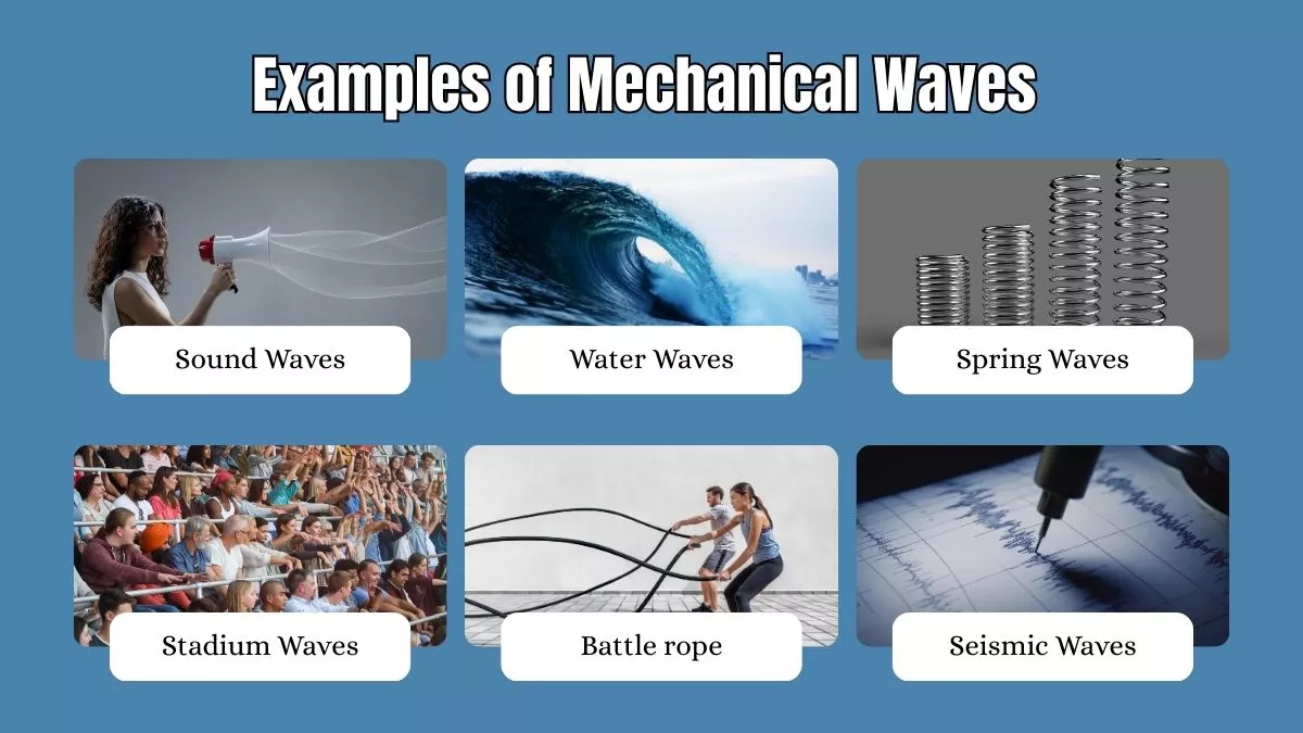 Examples of Mechanical Waves